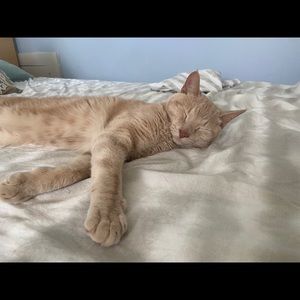 Meet your Posher, Catherine